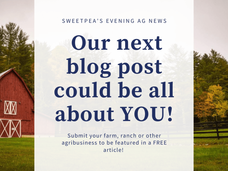 Hey! Our next blog post could be all about&nbsp;YOU!